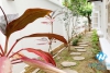 A house for rent with a little furniture, Renovated and suitable for a family!